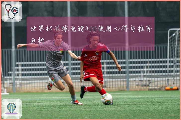世界杯买球竞猜App使用心得与推荐分析