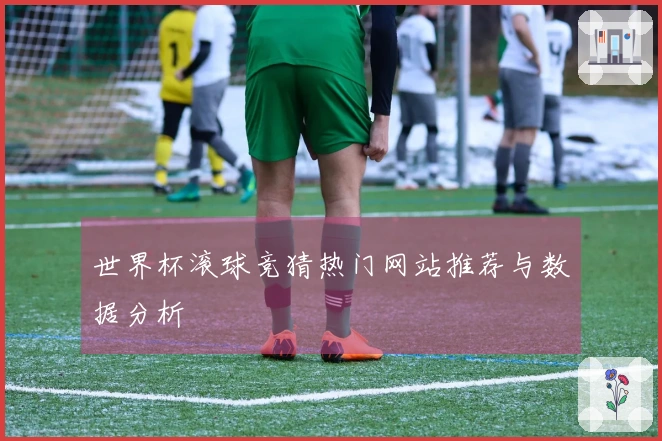 世界杯滚球竞猜热门网站推荐与数据分析
