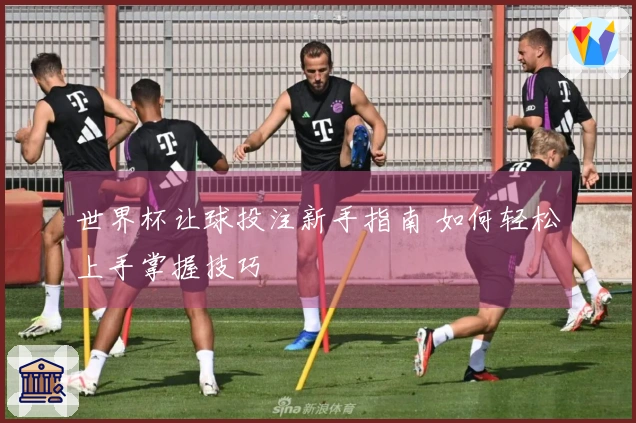 世界杯让球投注新手指南 如何轻松上手掌握技巧