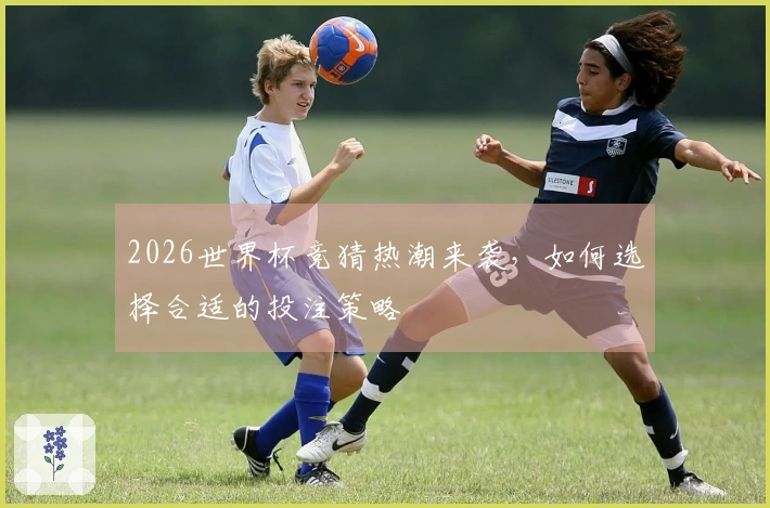2026世界杯竞猜热潮来袭，如何选择合适的投注策略